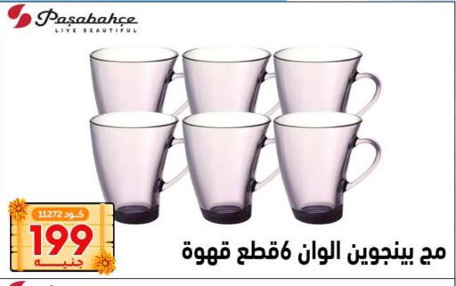 available at Center Elzelzal in Egypt - Cairo