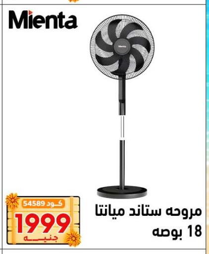 available at Center Elzelzal in Egypt - Cairo