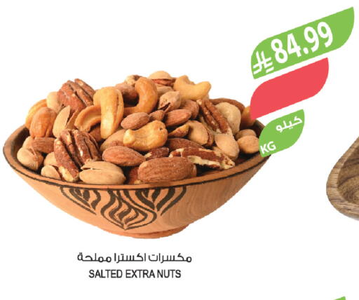 available at المزرعة in مملكة العربية السعودية, السعودية, سعودية - الخبر‎