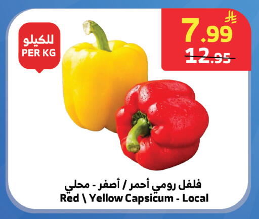 Yellow Capsicum available at الراية in مملكة العربية السعودية, السعودية, سعودية - تبوك