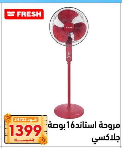 available at Center Elzelzal in Egypt - Cairo