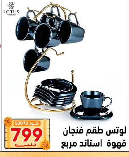 available at Center Elzelzal in Egypt - Cairo
