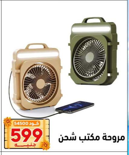 available at Center Elzelzal in Egypt - Cairo