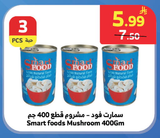 Mushroom available at الراية in مملكة العربية السعودية, السعودية, سعودية - تبوك