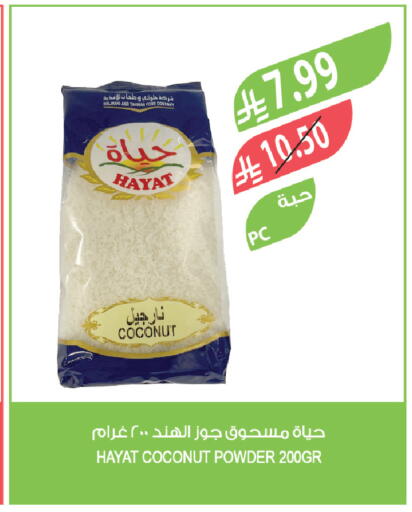 Coconut available at المزرعة in مملكة العربية السعودية, السعودية, سعودية - الخرج