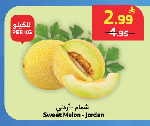 Melon from Jordan available at الراية in مملكة العربية السعودية, السعودية, سعودية - تبوك
