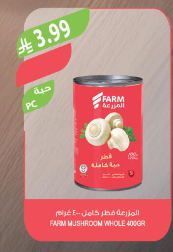 Mushroom available at المزرعة in مملكة العربية السعودية, السعودية, سعودية - الخبر‎