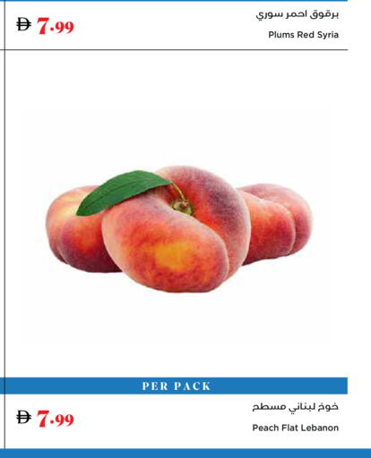 Plums Peach from Syria Lebanon available at تروليز سوبرماركت in الإمارات العربية المتحدة , الامارات - دبي
