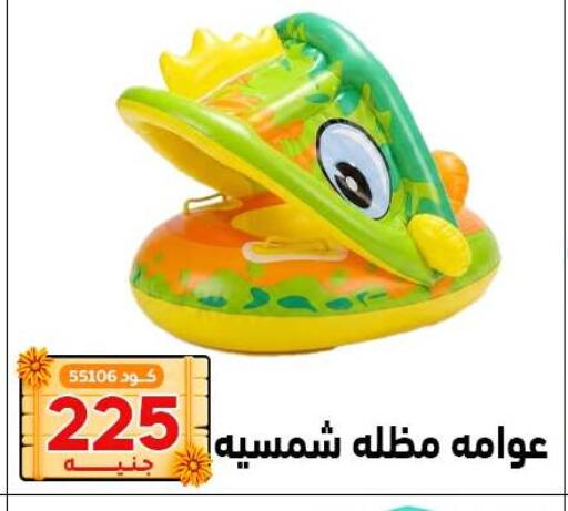 available at Center Elzelzal in Egypt - Cairo