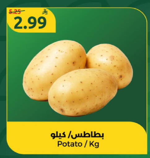 Potato available at دانا مارت in مملكة العربية السعودية, السعودية, سعودية - الرياض