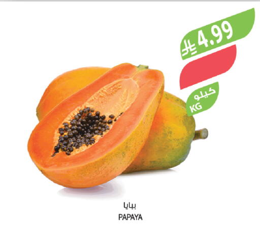Papaya available at المزرعة in مملكة العربية السعودية, السعودية, سعودية - الخرج
