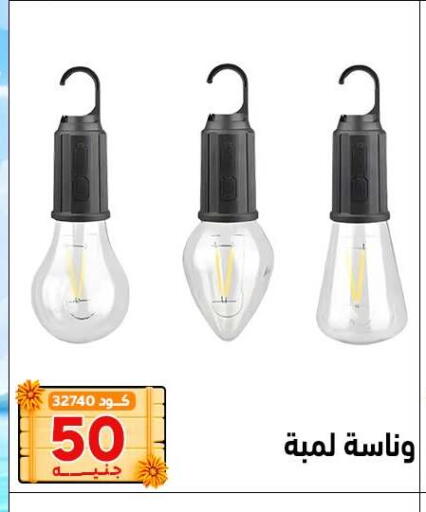 available at Center Elzelzal in Egypt - Cairo