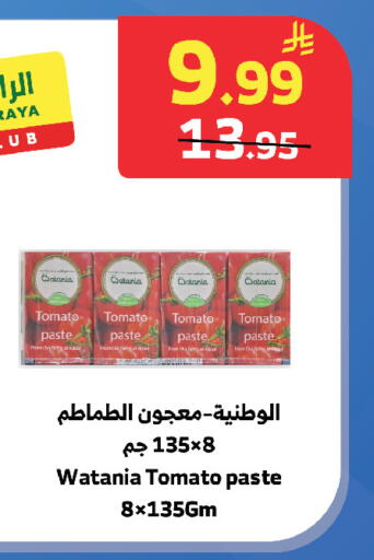 Tomato available at الراية in مملكة العربية السعودية, السعودية, سعودية - تبوك