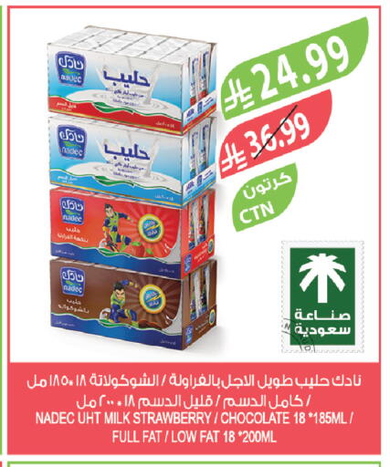 Strawberry available at المزرعة in مملكة العربية السعودية, السعودية, سعودية - الخرج