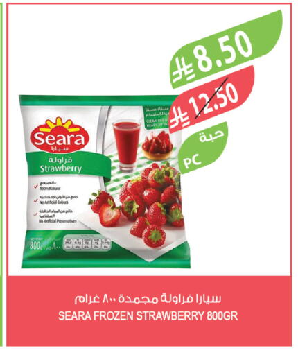Strawberry available at المزرعة in مملكة العربية السعودية, السعودية, سعودية - الخبر‎