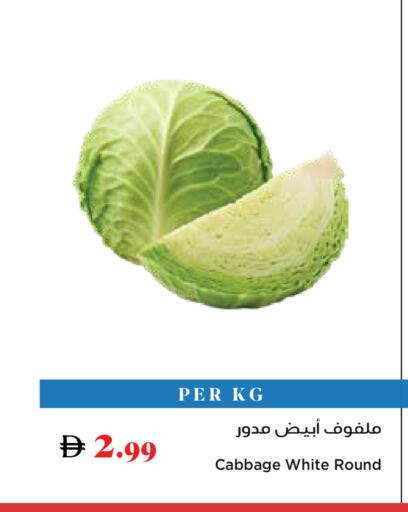 Cabbage available at تروليز سوبرماركت in الإمارات العربية المتحدة , الامارات - دبي