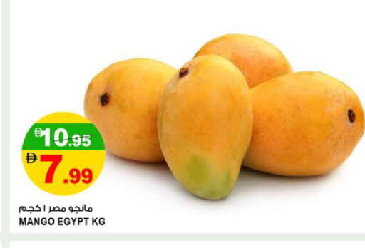 Mango from Egypt available at هاشم هايبرماركت in الإمارات العربية المتحدة , الامارات - الشارقة / عجمان