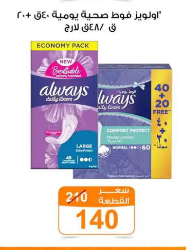 available at جملة ماركت in Egypt - القاهرة