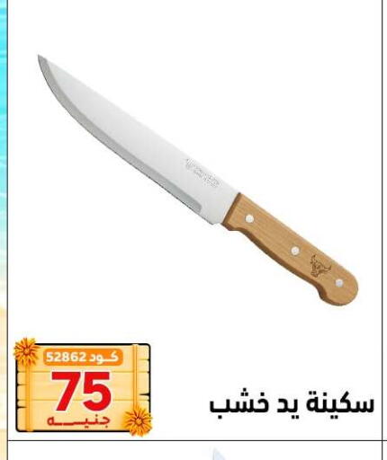 available at Center Elzelzal in Egypt - Cairo