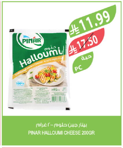 available at المزرعة in مملكة العربية السعودية, السعودية, سعودية - الخبر‎