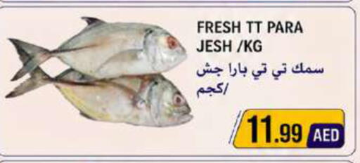 available at Rawabi Market Ajman in UAE - Sharjah / Ajman