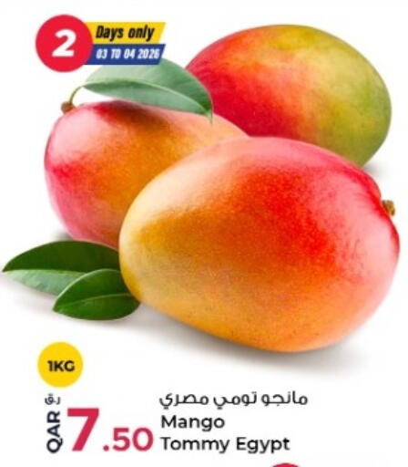 Mango from Egypt available at روابي هايبرماركت in قطر - الدوحة