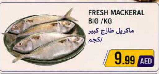 available at Rawabi Market Ajman in UAE - Sharjah / Ajman