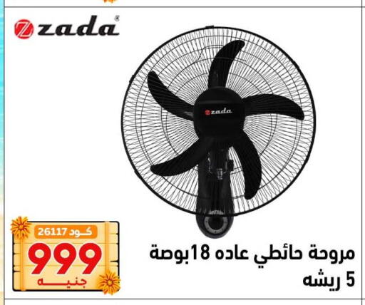 available at Center Elzelzal in Egypt - Cairo