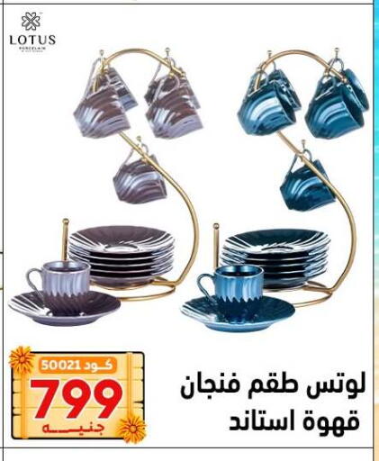 available at Center Elzelzal in Egypt - Cairo