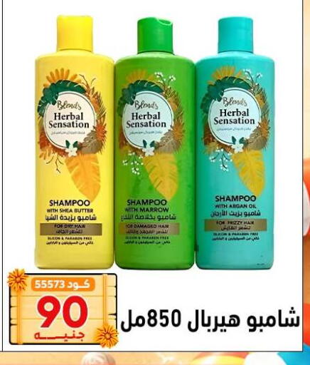 Marrow available at Center Elzelzal in Egypt - Cairo