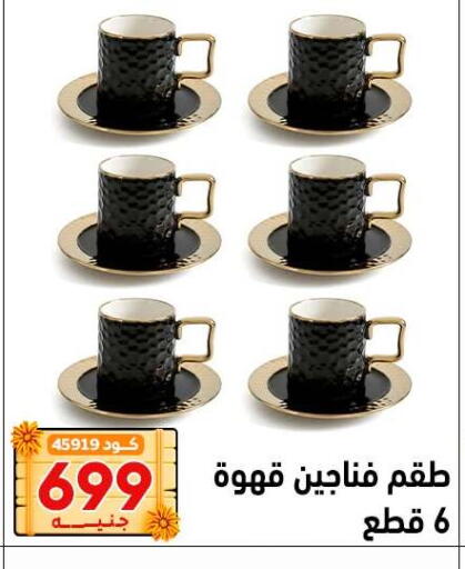 available at Center Elzelzal in Egypt - Cairo
