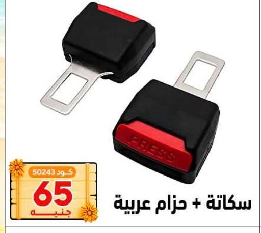available at Center Elzelzal in Egypt - Cairo