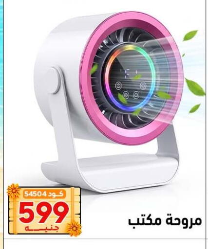 available at Center Elzelzal in Egypt - Cairo