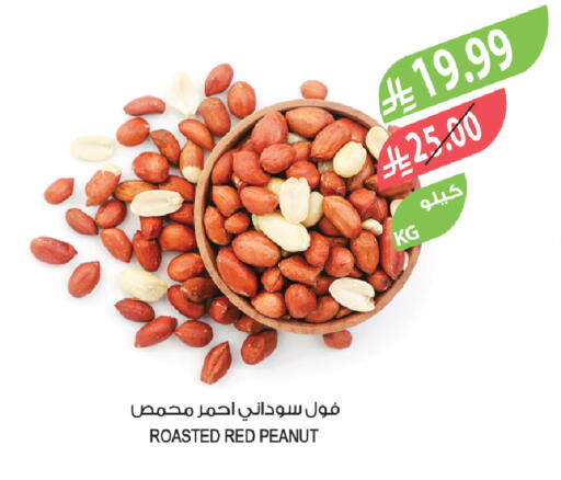 available at المزرعة in مملكة العربية السعودية, السعودية, سعودية - الخبر‎