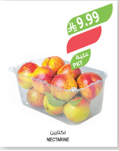 Nectarine available at المزرعة in مملكة العربية السعودية, السعودية, سعودية - الخرج