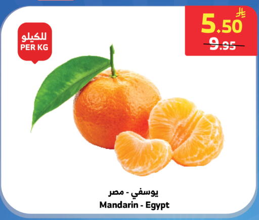 Mandarin from Egypt available at الراية in مملكة العربية السعودية, السعودية, سعودية - تبوك