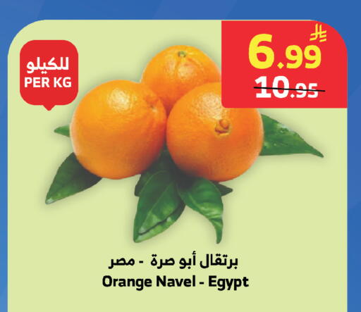 Orange from Egypt available at الراية in مملكة العربية السعودية, السعودية, سعودية - تبوك