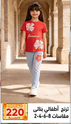 available at Center Elzelzal in Egypt - Cairo