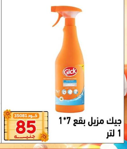 available at Center Elzelzal in Egypt - Cairo