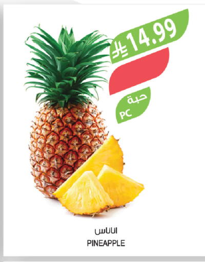 Pineapple available at المزرعة in مملكة العربية السعودية, السعودية, سعودية - الخرج