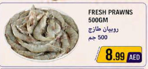 available at Rawabi Market Ajman in UAE - Sharjah / Ajman