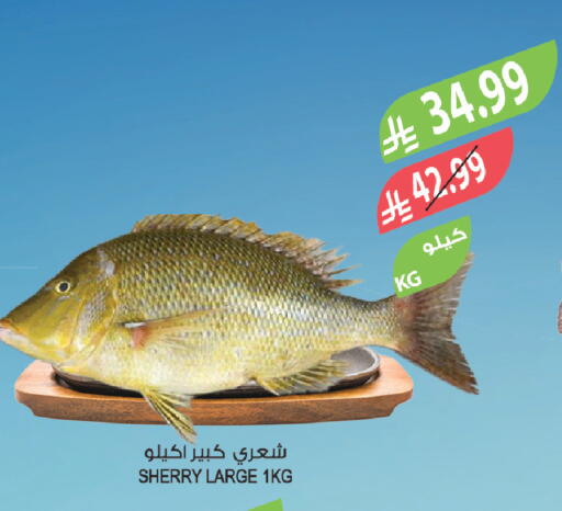 available at المزرعة in مملكة العربية السعودية, السعودية, سعودية - الخبر‎