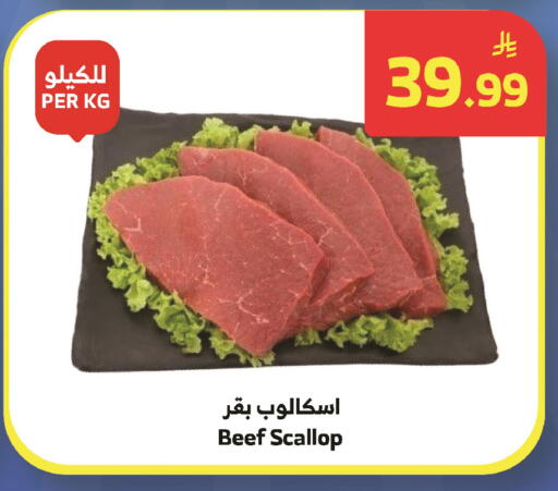 available at الراية in مملكة العربية السعودية, السعودية, سعودية - تبوك