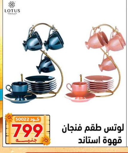 available at Center Elzelzal in Egypt - Cairo