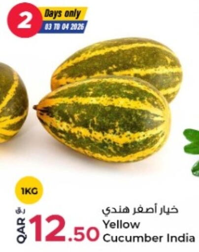 Cucumber from India available at روابي هايبرماركت in قطر - الدوحة