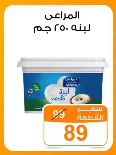 available at جملة ماركت in Egypt - القاهرة