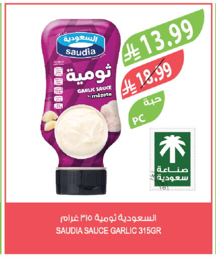 Garlic available at المزرعة in مملكة العربية السعودية, السعودية, سعودية - الخرج