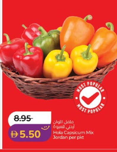 Capsicum from Jordan available at لولو هايبرماركت in الإمارات العربية المتحدة , الامارات - أبو ظبي