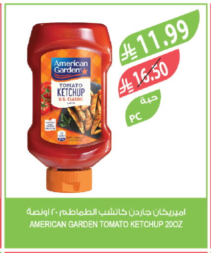 Tomato available at المزرعة in مملكة العربية السعودية, السعودية, سعودية - الخرج