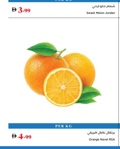 Melon Orange from Jordan available at تروليز سوبرماركت in الإمارات العربية المتحدة , الامارات - دبي